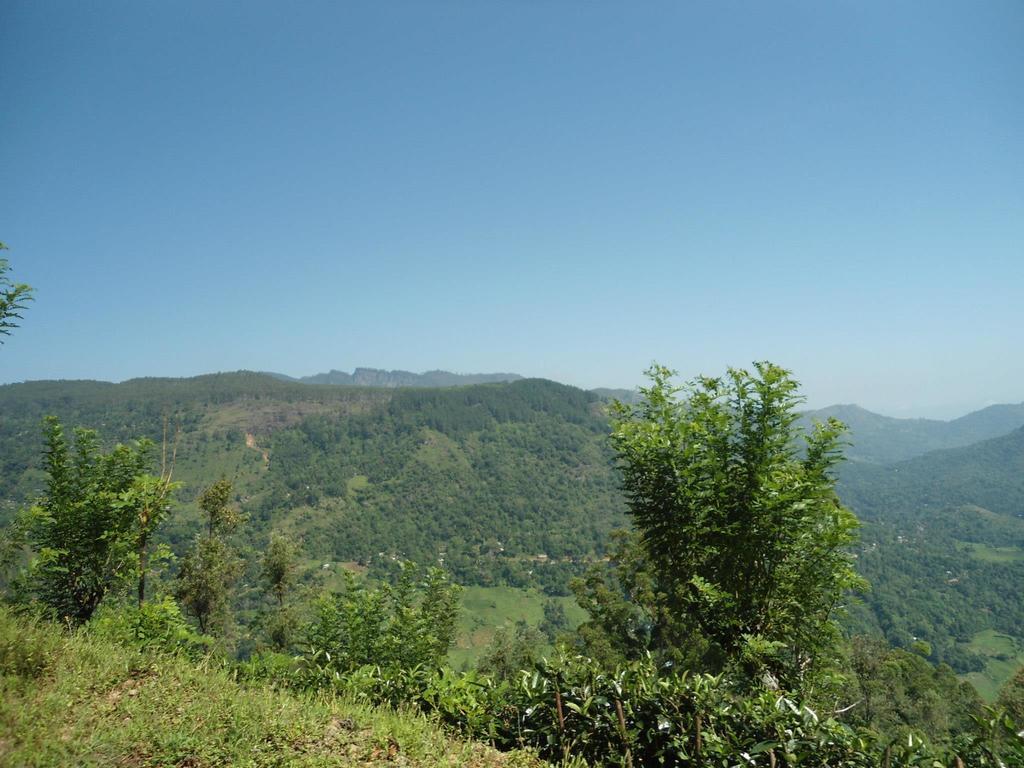 Mount River View Kandy Eksteriør billede