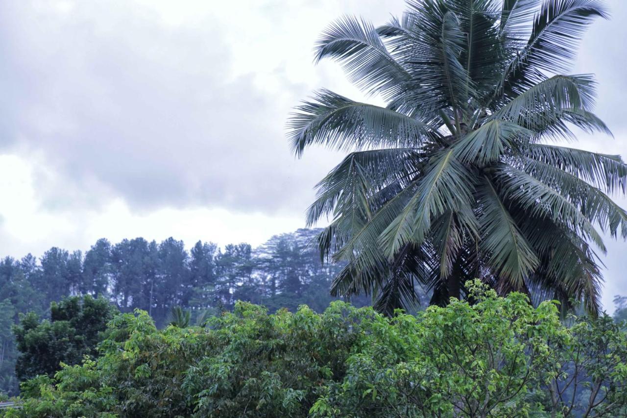 Mount River View Kandy Eksteriør billede