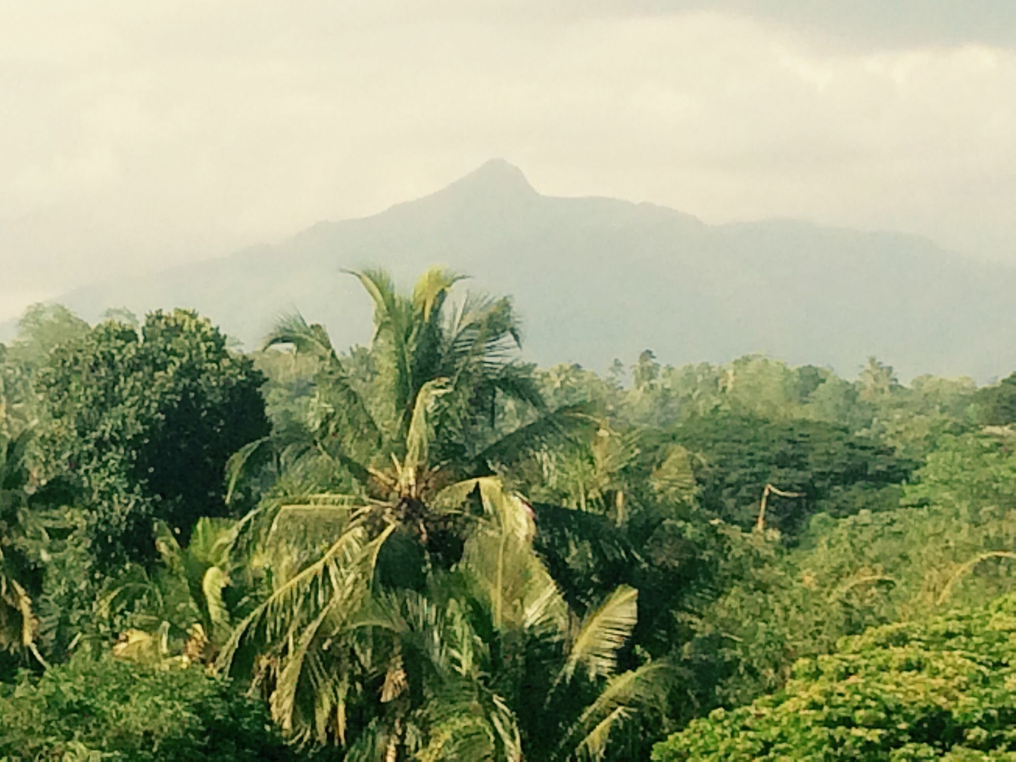 Mount River View Kandy Eksteriør billede